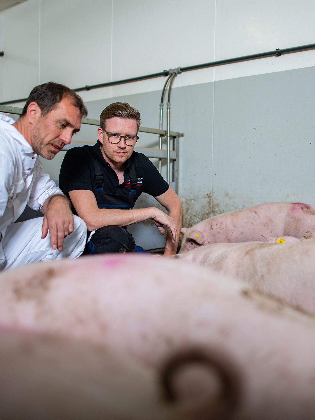 Zwei Mitarbeiter von Gesing Tierzucht stehen im Schweinestall